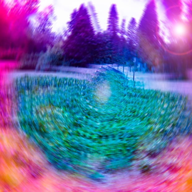 Capture Photography Festival Pin