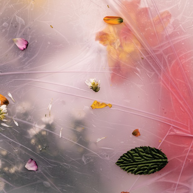 Capture Photography Festival Pin