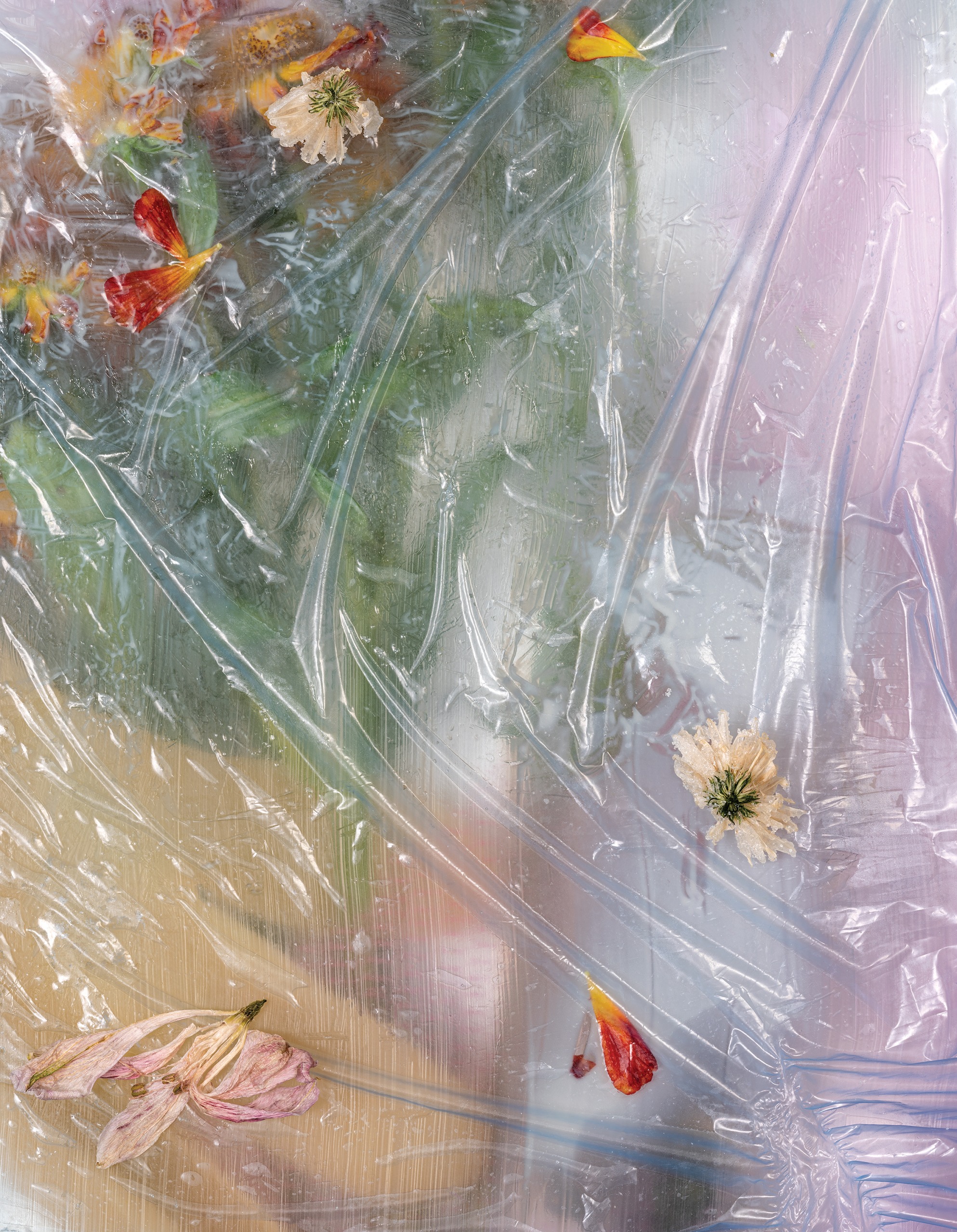 Capture Photography Festival Pin