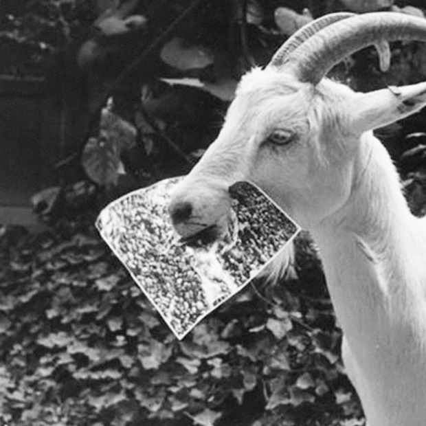 Capture Photography Festival Pin