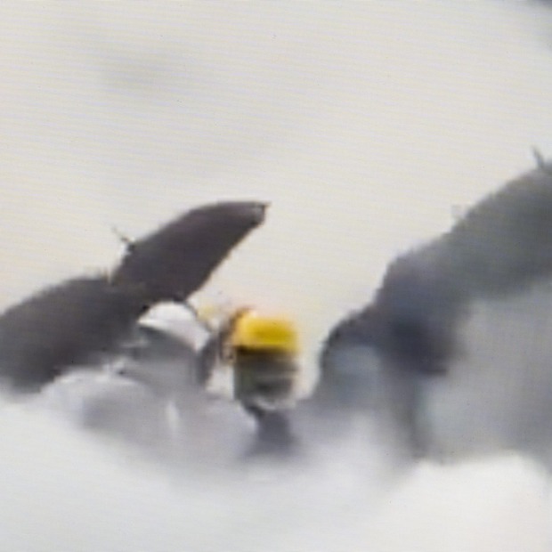 Capture Photography Festival Pin