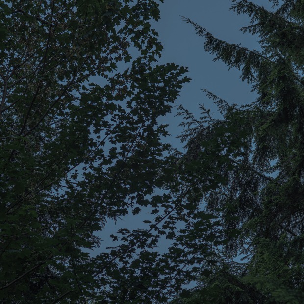 Capture Photography Festival Pin