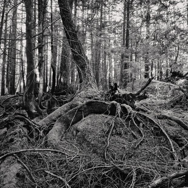 Capture Photography Festival Pin