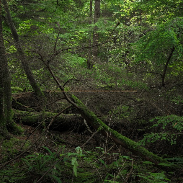 Capture Photography Festival Pin