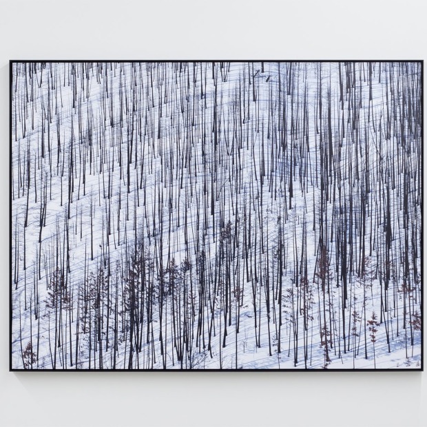 Capture Photography Festival Pin